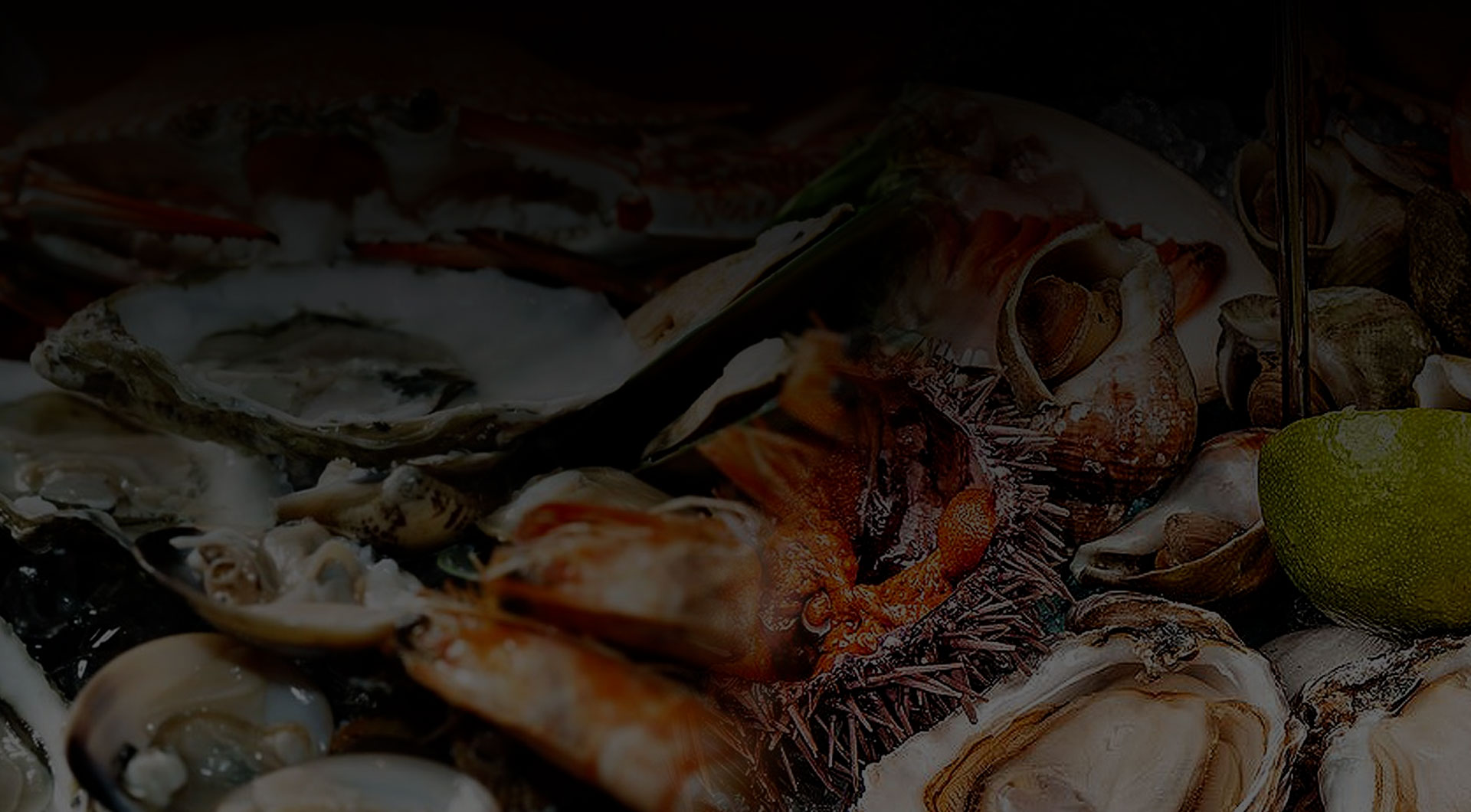 Slide background